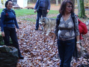 35. sjezd SAOF – FOTO 24