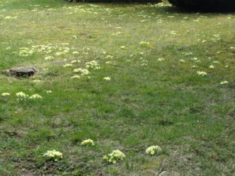 35. sjezd SAOF – FOTO 34