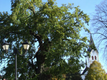 35. sjezd SAOF – FOTO 53