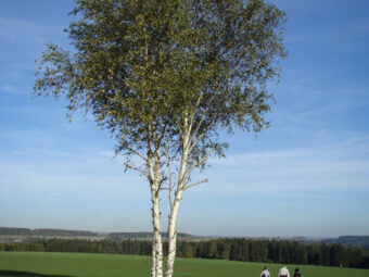 35. sjezd SAOF – FOTO 76