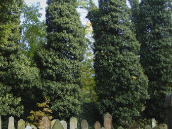 39. sjezd SAOF – FOTO 051