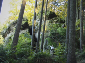 39. sjezd SAOF – FOTO 061