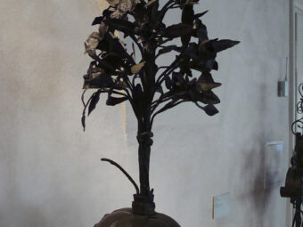 39. sjezd SAOF – FOTO 113