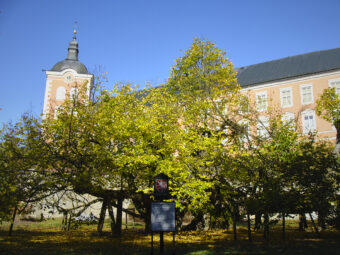 39. sjezd SAOF – FOTO 125