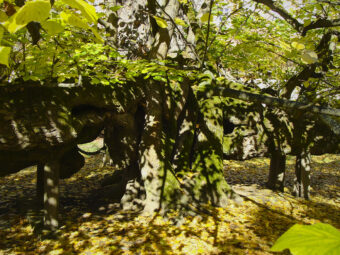 39. sjezd SAOF – FOTO 129