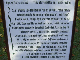 39. sjezd SAOF – FOTO 130