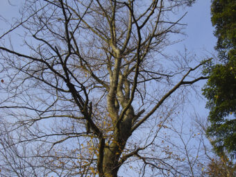 39. sjezd SAOF – FOTO 185