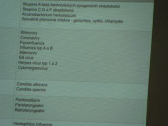 40. sjezd SAOF – FOTO 027