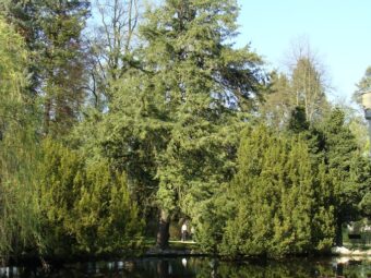 40. sjezd SAOF – FOTO 081