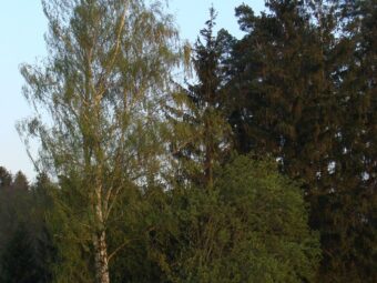 40. sjezd SAOF – FOTO 111