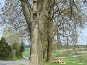 40. sjezd SAOF – FOTO 120