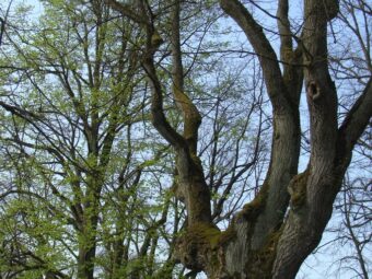 40. sjezd SAOF – FOTO 124