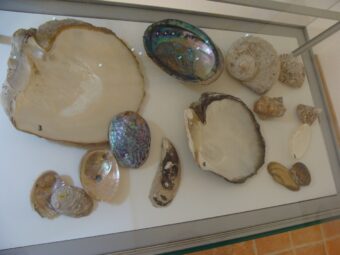 40. sjezd SAOF – FOTO 129