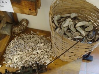 40. sjezd SAOF – FOTO 131