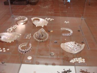 40. sjezd SAOF – FOTO 133