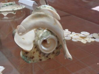 40. sjezd SAOF – FOTO 140