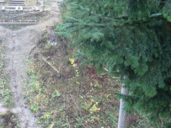 41. sjezd SAOF – FOTO 062