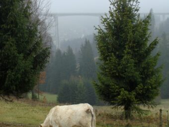 41. sjezd SAOF – FOTO 066