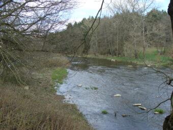 42. sjezd SAOF – FOTO 042