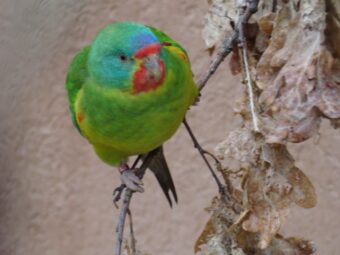 45. sjezd SAOF – FOTO 014