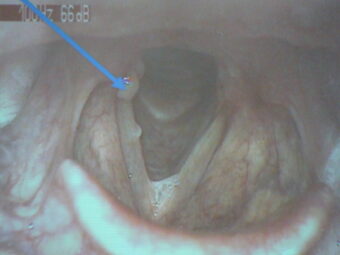 45. sjezd SAOF – FOTO 065
