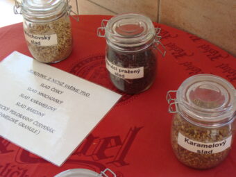 46. sjezd SAOF – FOTO 058