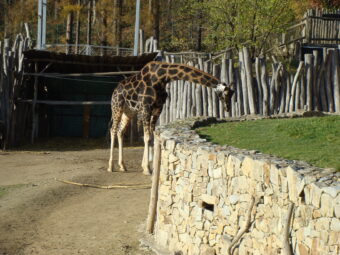 47. sjezd SAOF – FOTO 015