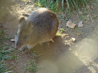 47. sjezd SAOF – FOTO 018