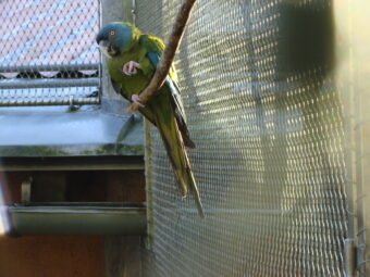 47. sjezd SAOF – FOTO 022