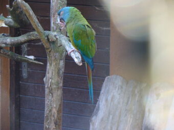 47. sjezd SAOF – FOTO 023