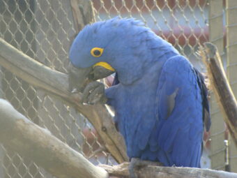 47. sjezd SAOF – FOTO 024