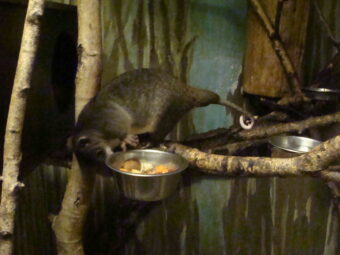 47. sjezd SAOF – FOTO 025