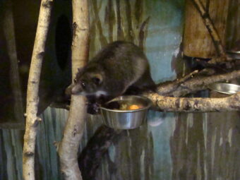 47. sjezd SAOF – FOTO 026