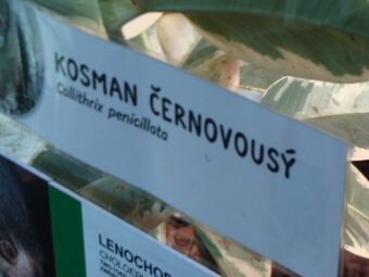 47. sjezd SAOF – FOTO 036