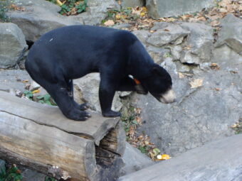 47. sjezd SAOF – FOTO 037