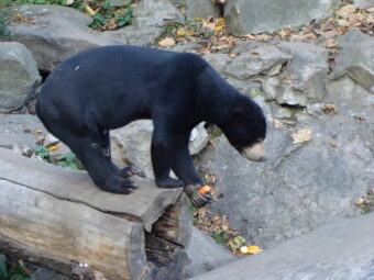 47. sjezd SAOF – FOTO 038