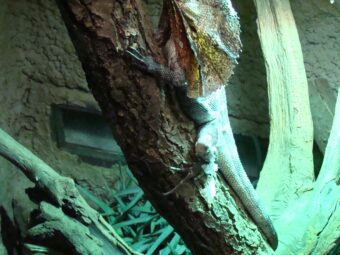 47. sjezd SAOF – FOTO 040