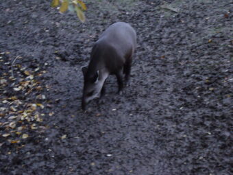 47. sjezd SAOF – FOTO 043