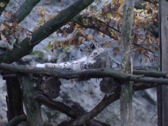 47. sjezd SAOF – FOTO 044