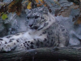 47. sjezd SAOF – FOTO 045