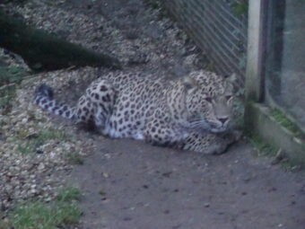 47. sjezd SAOF – FOTO 046