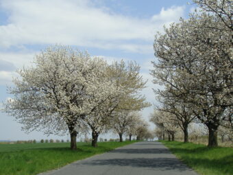 48. sjezd SAOF – FOTO 001