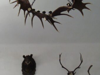 48. sjezd SAOF – FOTO 034