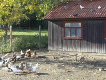 49. sjezd SAOF – FOTO 009