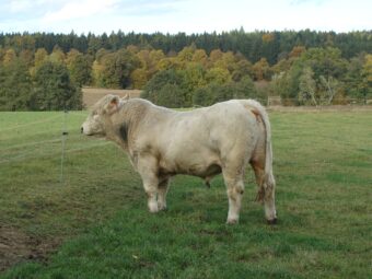 49. sjezd SAOF – FOTO 012