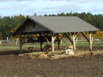 49. sjezd SAOF – FOTO 015