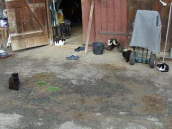 49. sjezd SAOF – FOTO 020