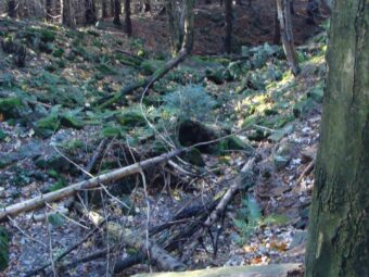 49. sjezd SAOF – FOTO 051